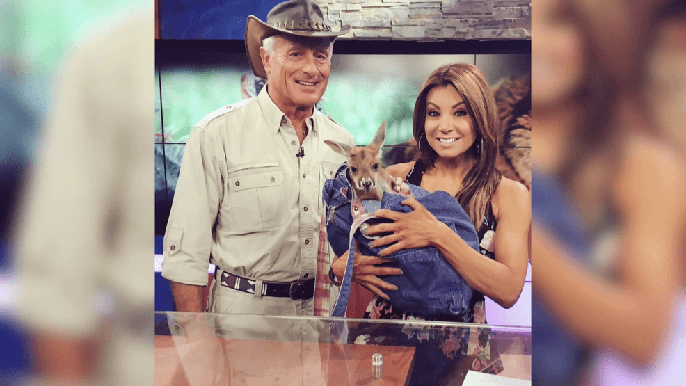 Image for story: A look back at 2016